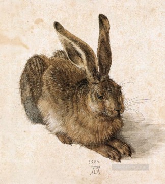 アルブレヒト・デューラー Painting - 若きウサギ アルブレヒト・デューラー